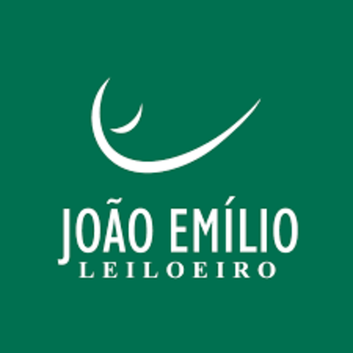 joao-emilio-leilao